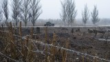 Русия свалила 40 дрона над Воронежка област